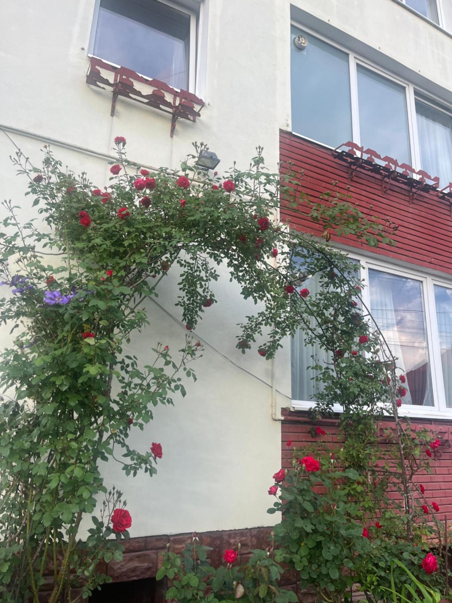 Casa Conti Hotel Сибиу Екстериор снимка