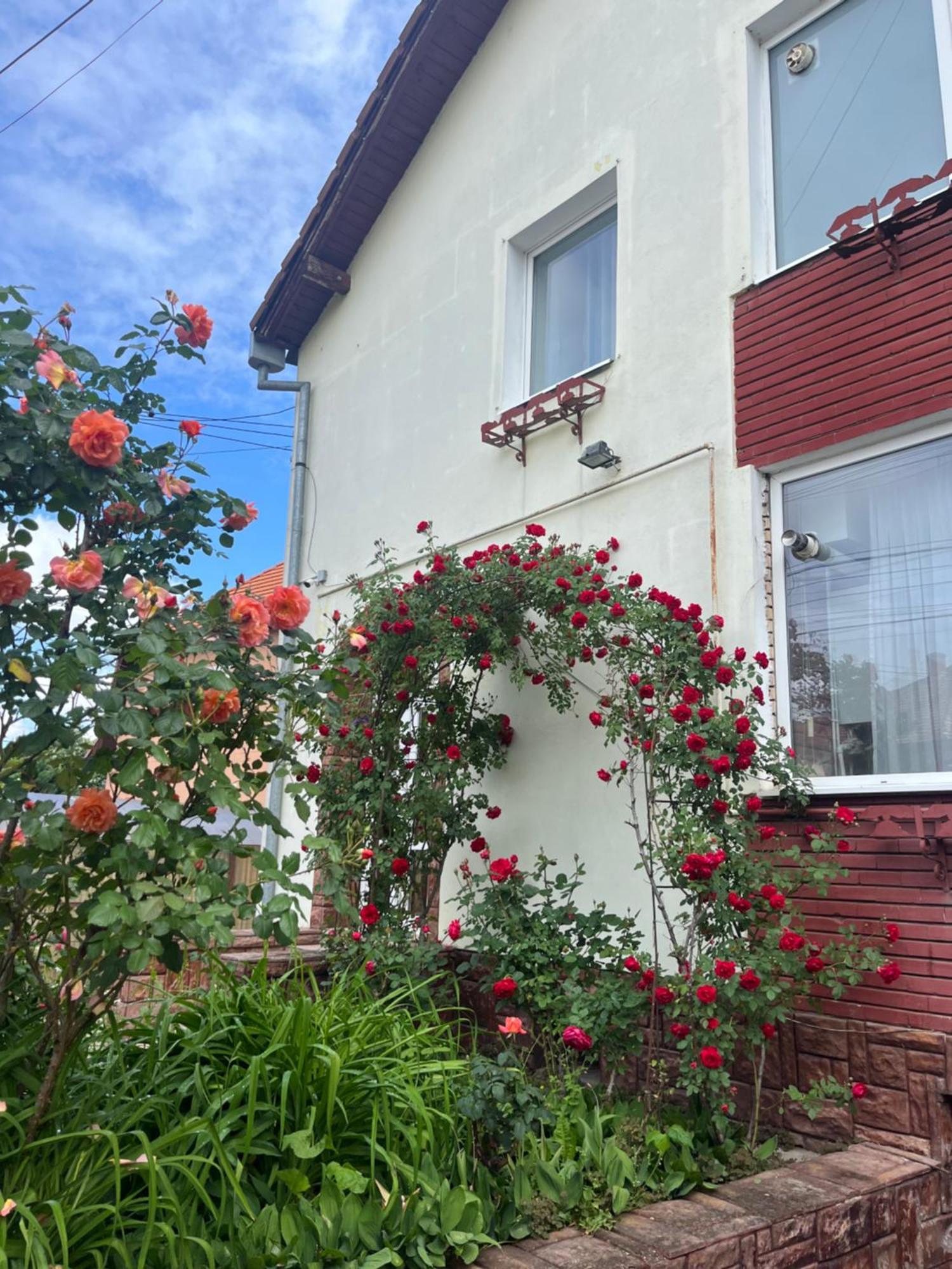 Casa Conti Hotel Сибиу Екстериор снимка